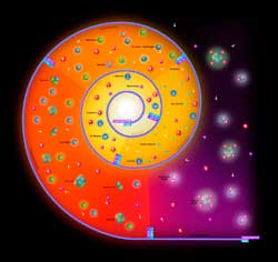 Big Bang to Recombination - V1